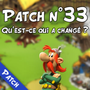 Patch 33 FR